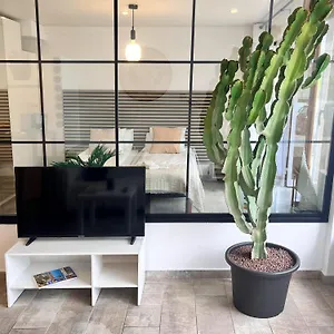 Cactus Playa Fanabe